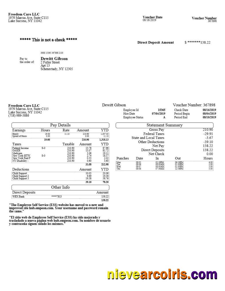 Freedom Care LLC pay stub